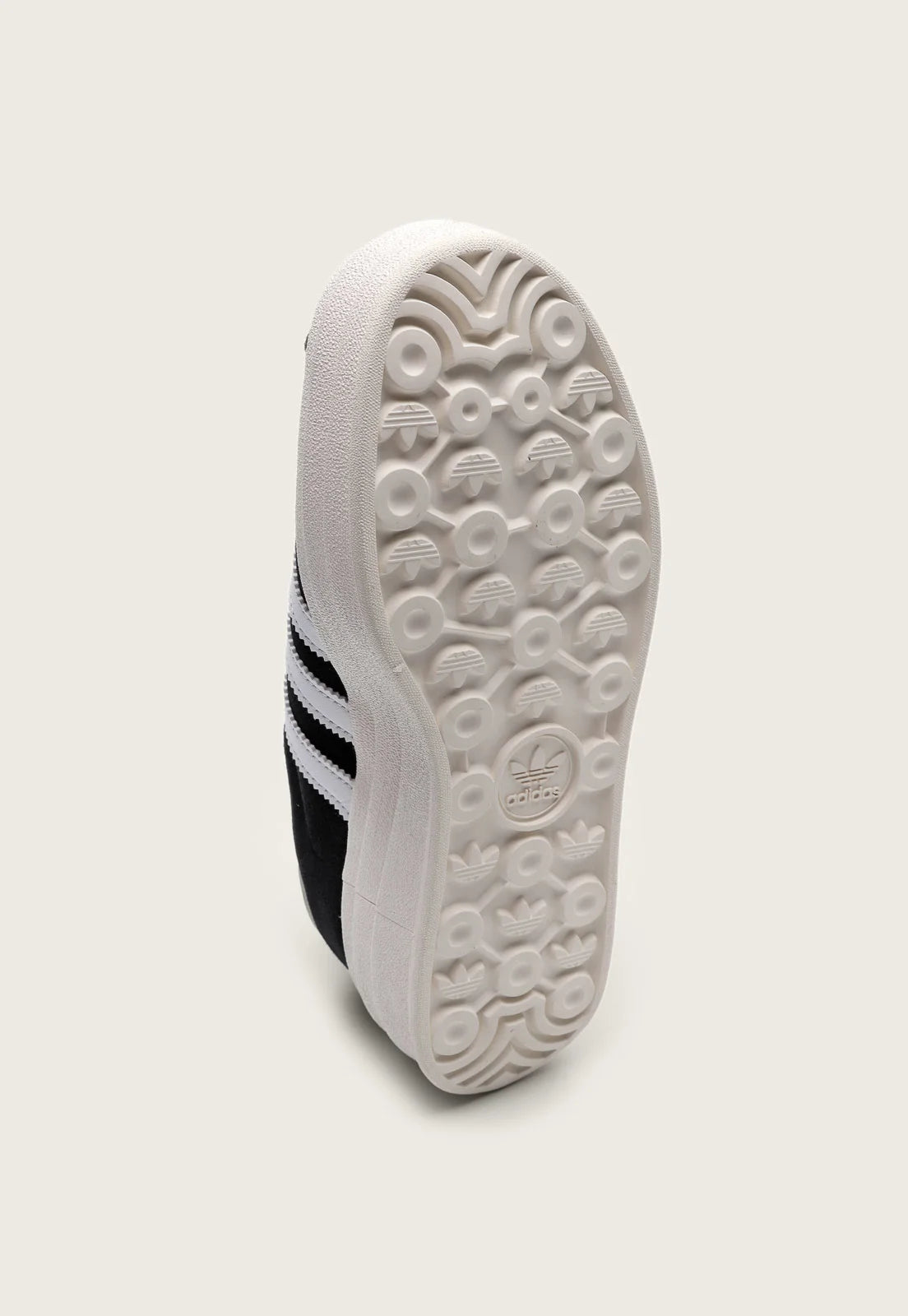 Gazelle Bold